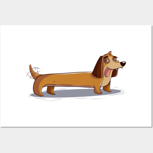 Salchicha (Dachshund) Posters and Art